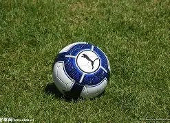 海港振兴之,金元时代再,穆斯卡特力,英皇娱乐官网,英皇娱乐官网入口,英皇娱乐网站,英皇娱乐,英皇娱乐登录入口