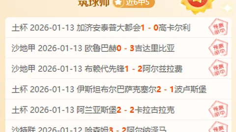 大乐透期号专家推荐：德累斯顿主场质合分析，能否逆袭取胜