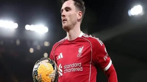 美冠杯决战：老虎大学全力推荐质合分析期号策略