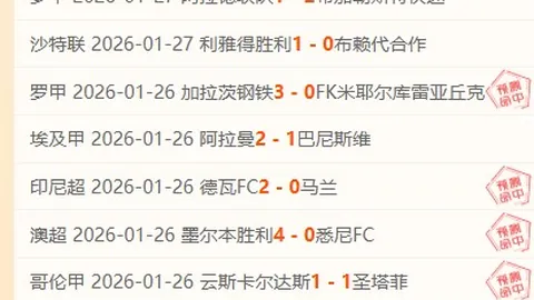 王大雷染红牌，鲁能惊险维持积分